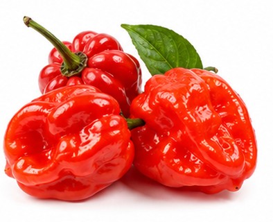 HABANERO ROUGE